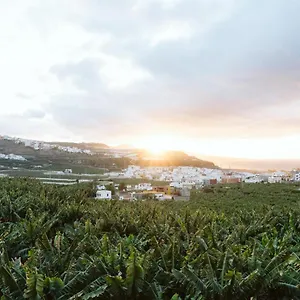 https://tortuga-blue-house-in-banana-plantation.in-canary-islands.com
